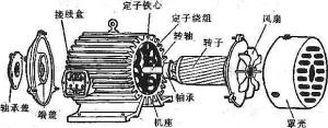 振動電機(jī)損壞的常見原因有哪些？